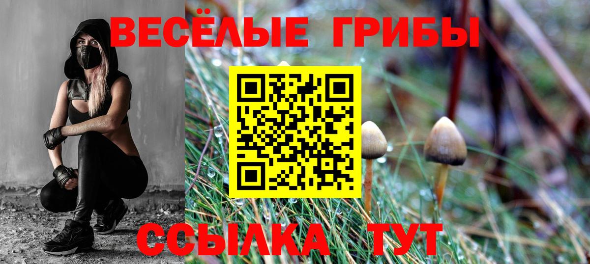Галлюциногенные грибы MAGIC MUSHROOMS  где продают   Моршанск  Галлюциногенные грибы мицелий  Вход с VPN 